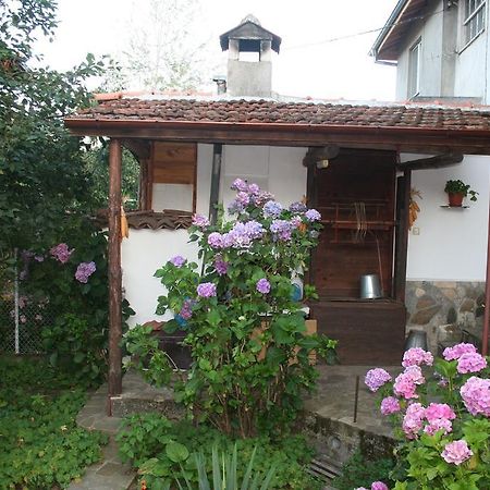 Todorova House Ξενοδοχείο Ζλάτογκραντ Εξωτερικό φωτογραφία
