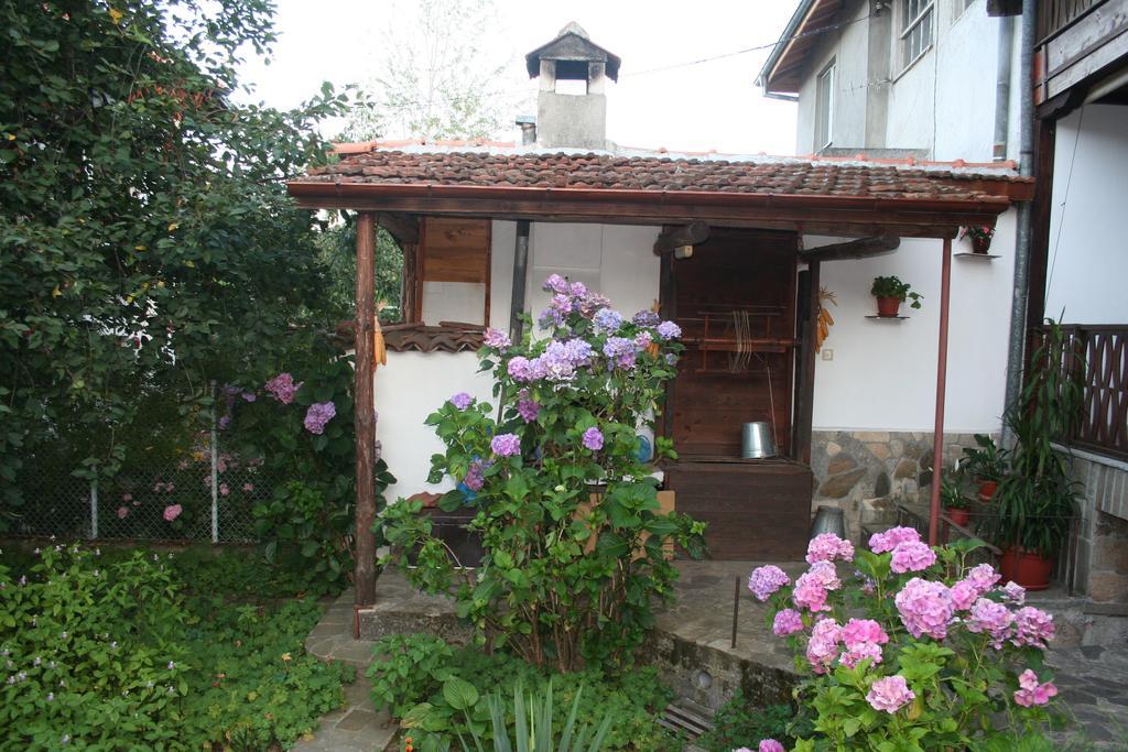 Todorova House Ξενοδοχείο Ζλάτογκραντ Εξωτερικό φωτογραφία